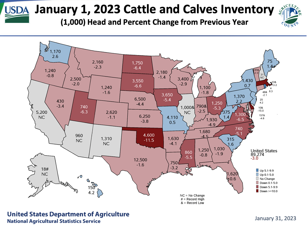 USDA Cattle Inventory Report State Rankings & Changes from 2022 Cattle