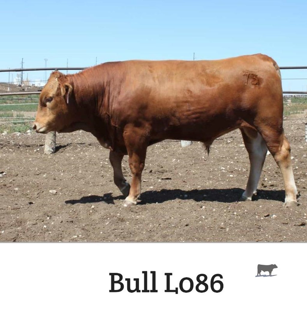 Cattle Range Listing Photo