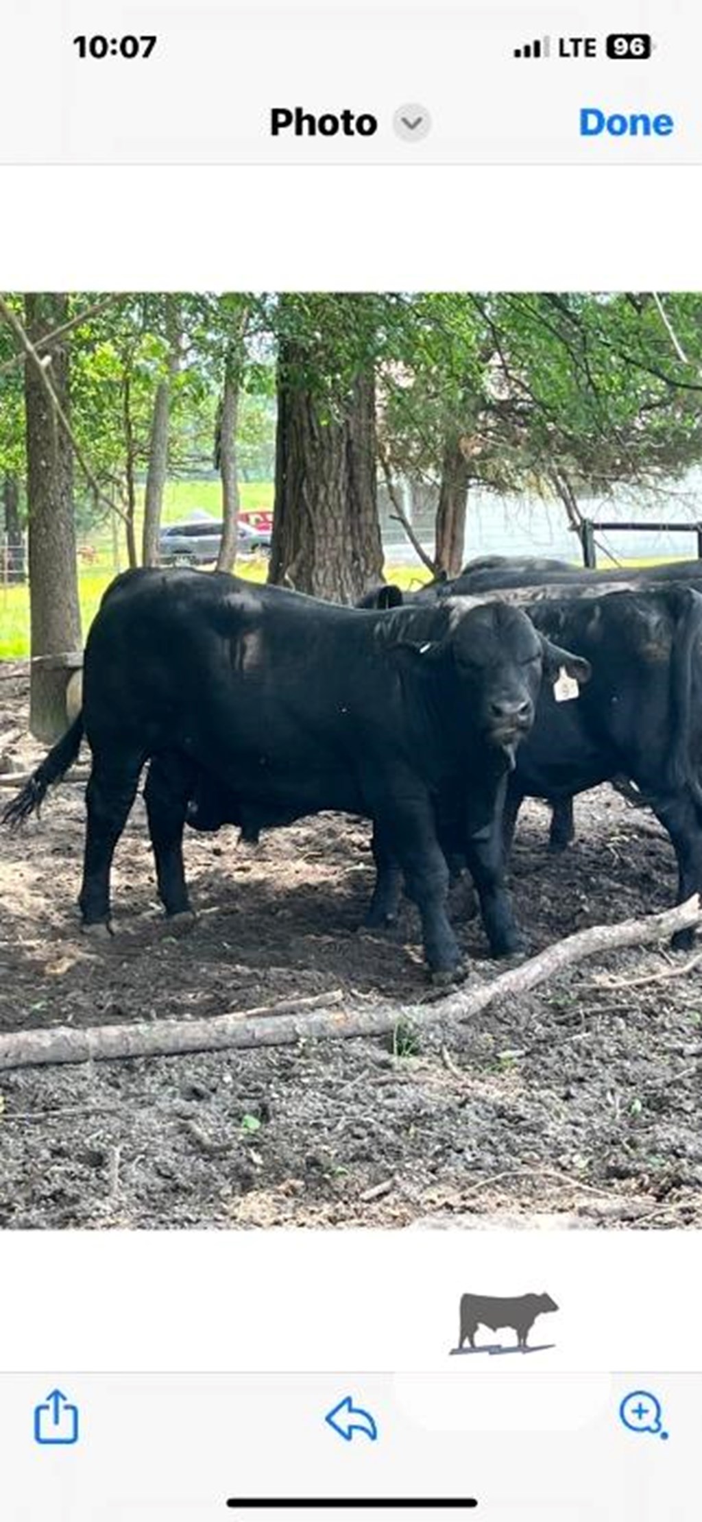 Cattle Range Listing Photo