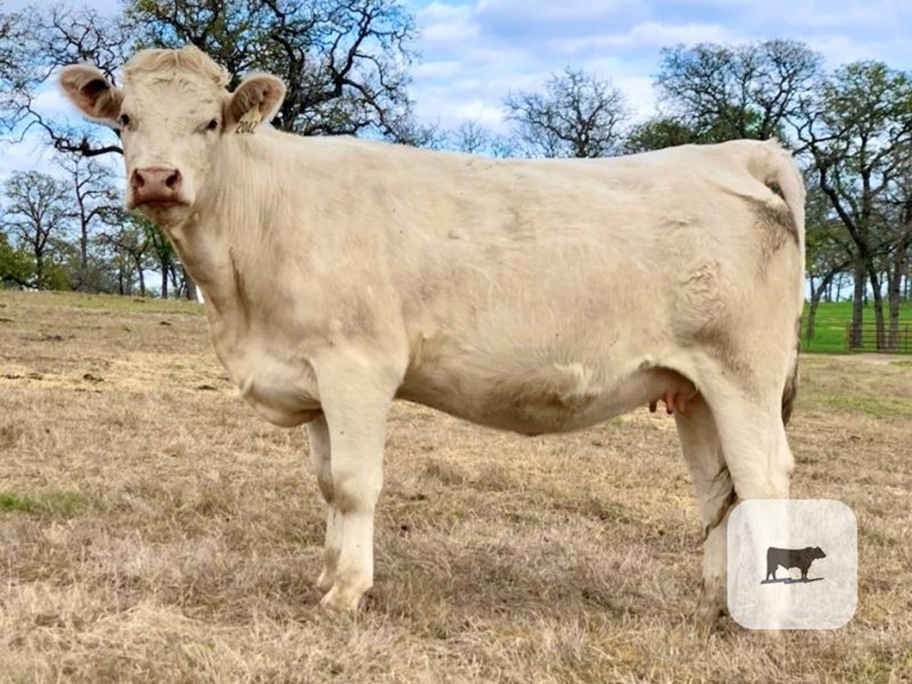 Cattle Range Listing Photo