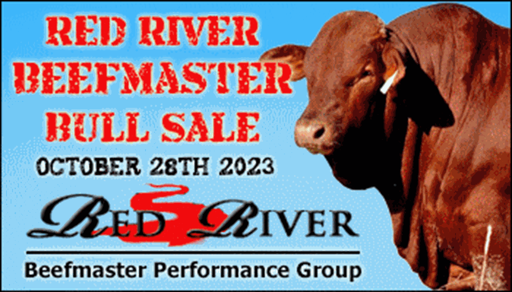 Red River Beefmaster Performance Group