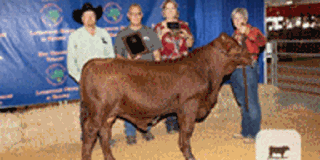 1 Reg. Santa Gertrudis Bull... S. Central TX