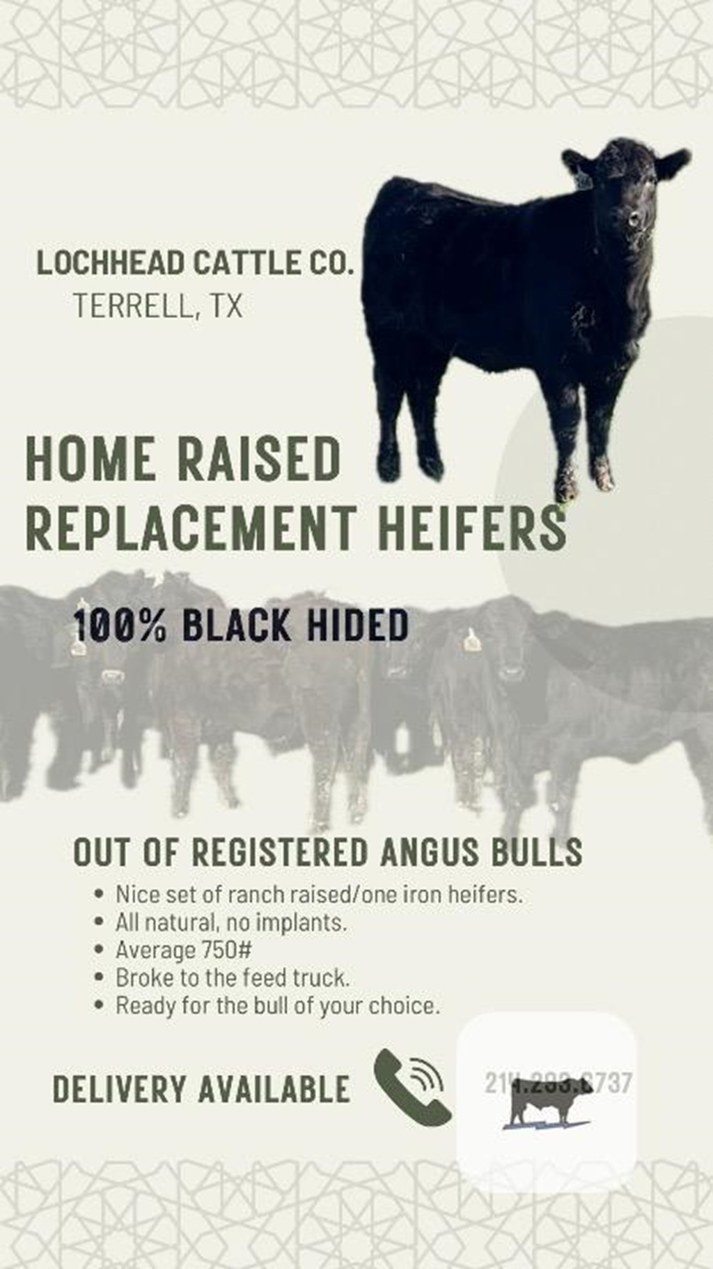 Cattle Range Listing Photo 2