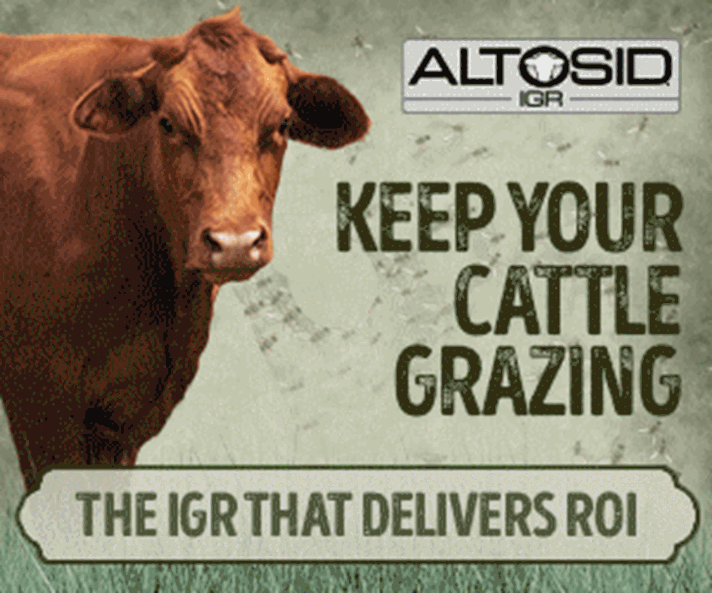 Altosid IGR Horn Fly Control (1)