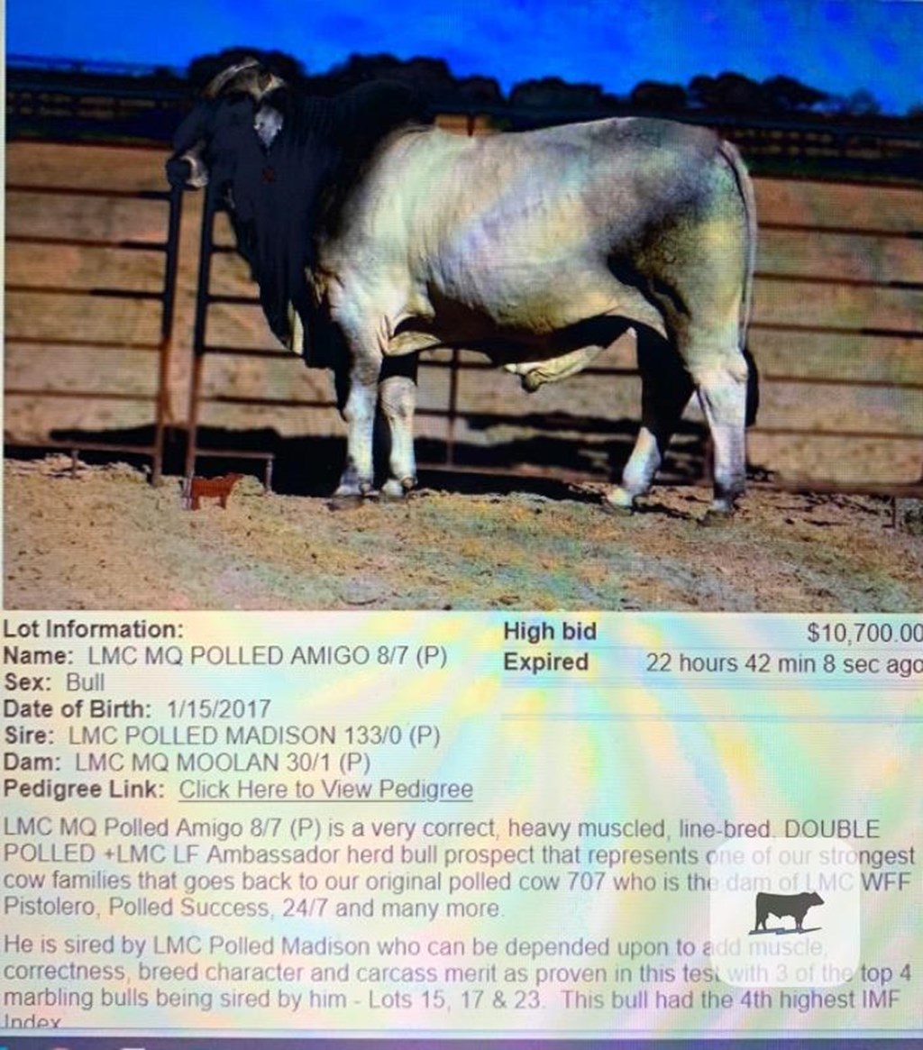 Cattle Range Listing Photo