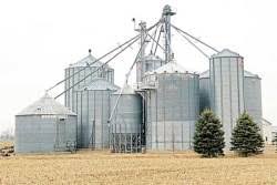 USDA Planting Intentions & Grain Stocks Reports