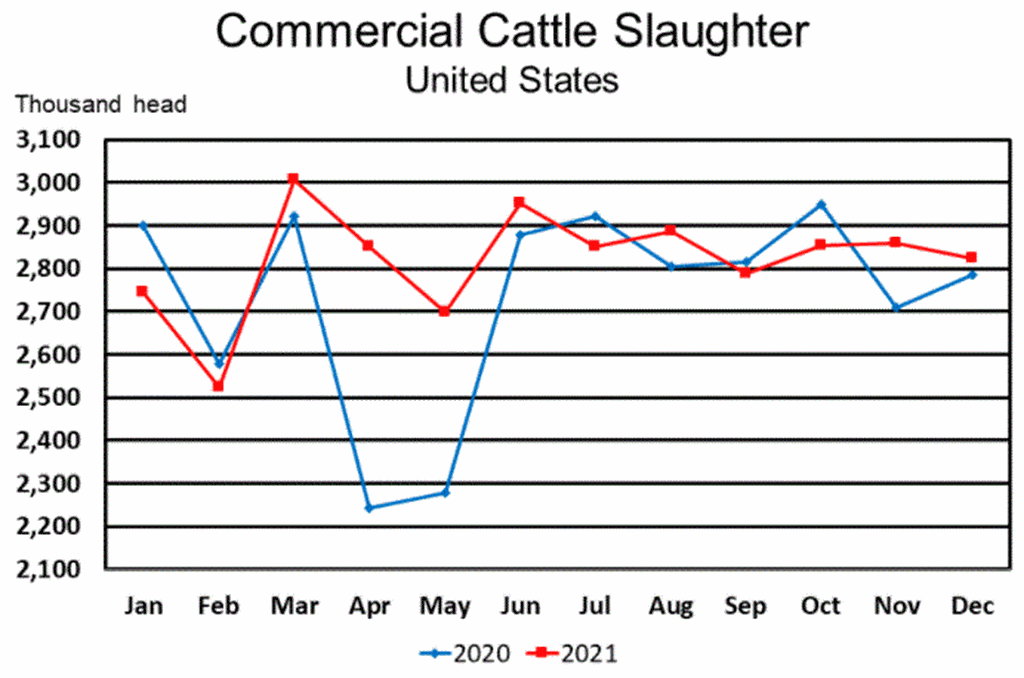 Record High Beef Production in December