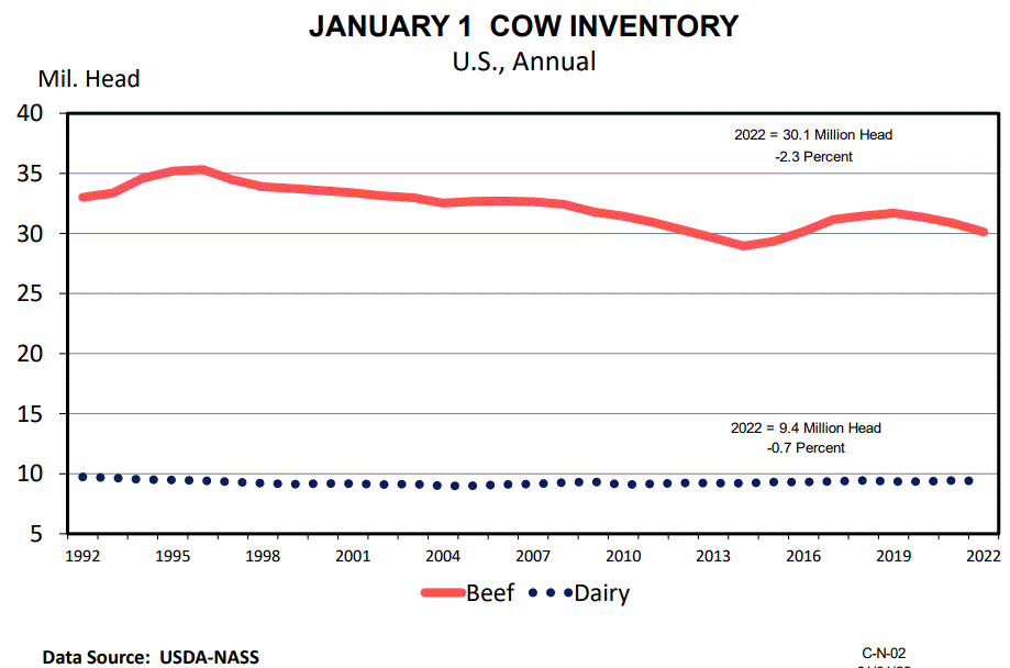 January 1 Beef Cow Inventory Down 2.33 Percent