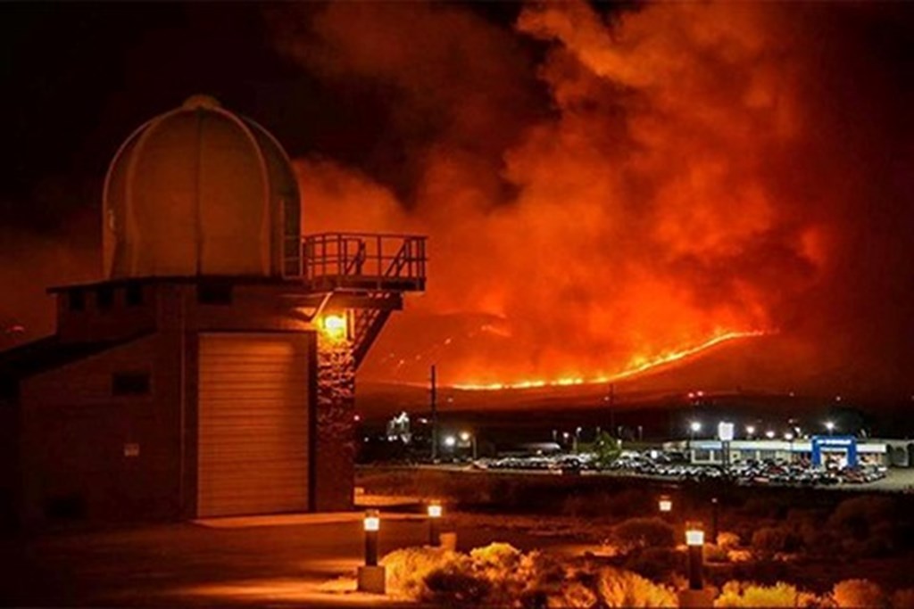 Targeted Cattle Grazing Quickly Contains Wildfires in the Great Basin