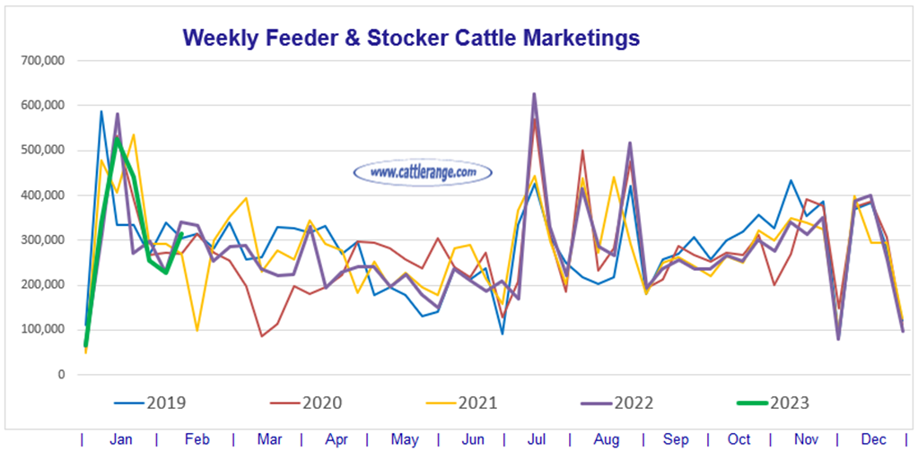 Feeder & Stocker Cattle Marketings for the week ending 2/11/23
