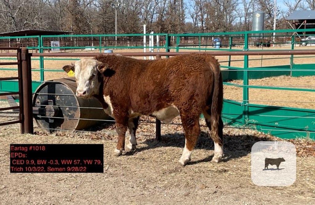Cattle Range Listing Photo