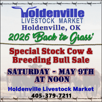 Holdenville Livestock Market ‘Back to Grass’ Special Stock Cow & Breeding Bull Sale