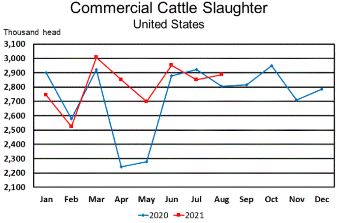 September Livestock Slaughter Report
