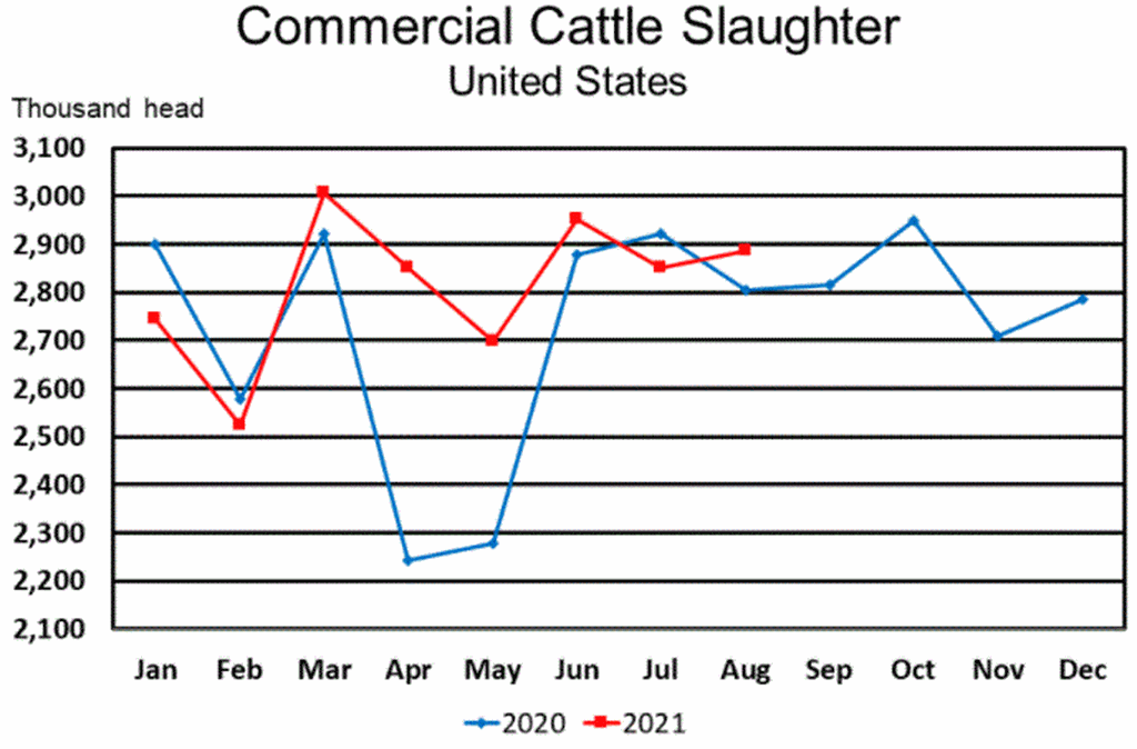 September Livestock Slaughter Report