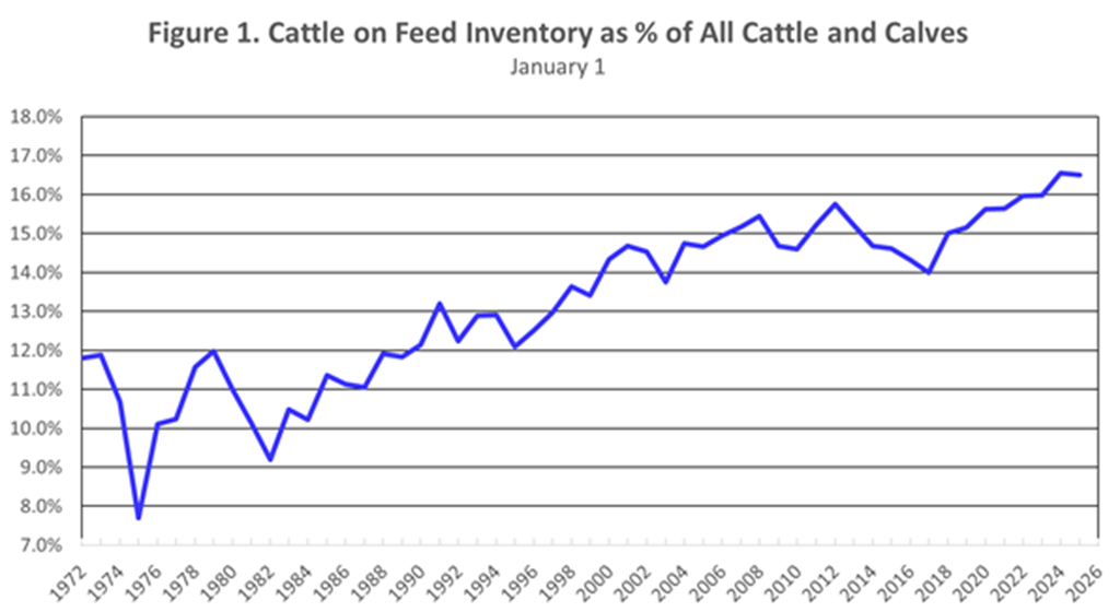 A Review of Feedlot Structure and 2024 Marketings