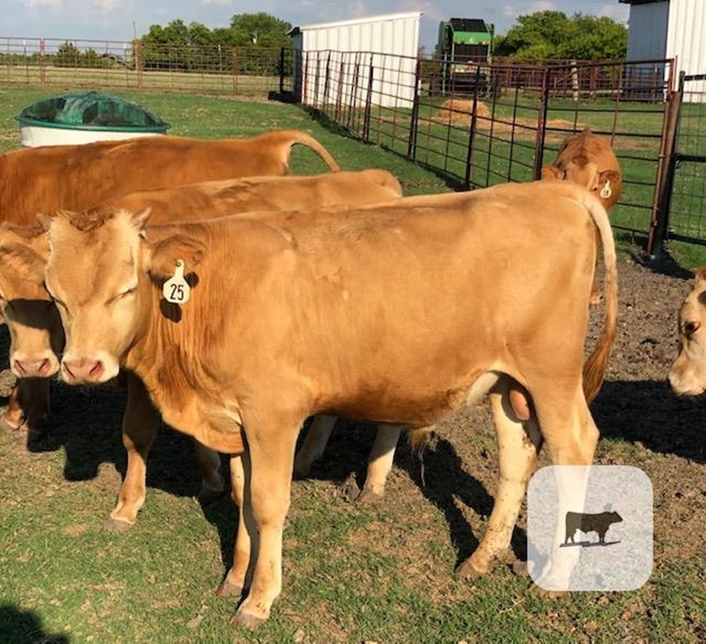 Cattle Range Listing Photo