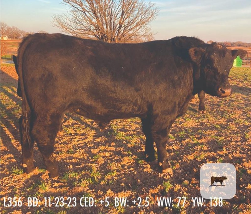 Cattle Range Listing Photo