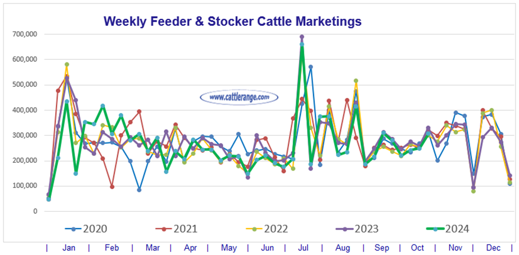 Feeder & Stocker Cattle Marketings for the week ending 10/19/24 Cattle