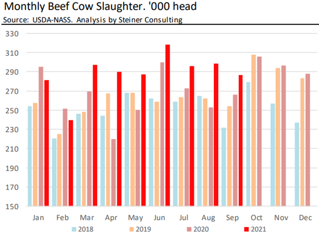 US Beef Cow Slaughter Up 9.1% Compared to Last Year