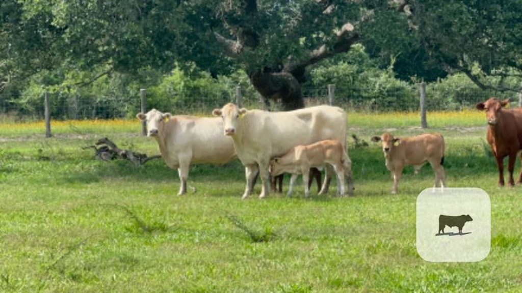 Cattle Range Listing Photo