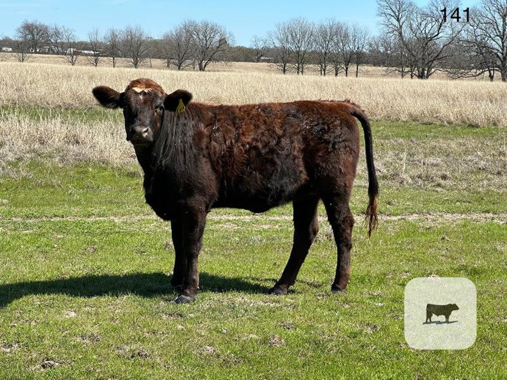 Cattle Range Listing Photo