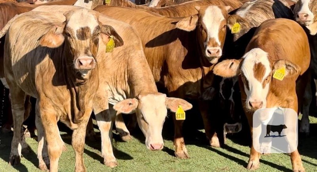 Cattle Range Listing Photo