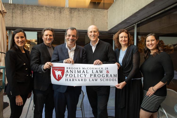 Harvard Receives $10M ‘Animal Law’ Endowment