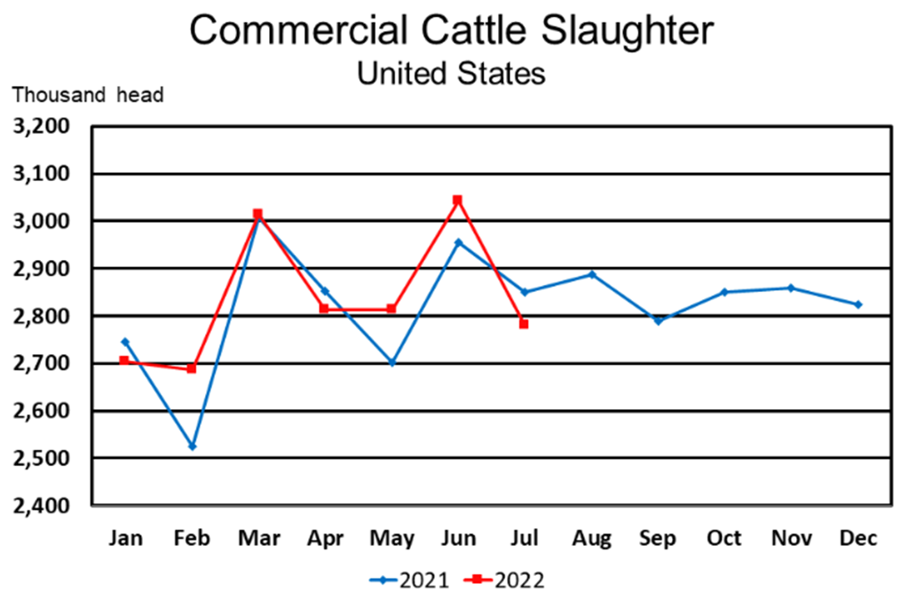 August Livestock Slaughter Report: Beef Production Down in July