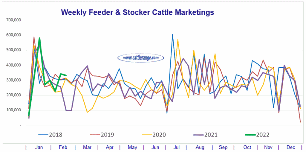 Weekly Feeder & Stocker Cattle Marketings for week ending 02/19/22