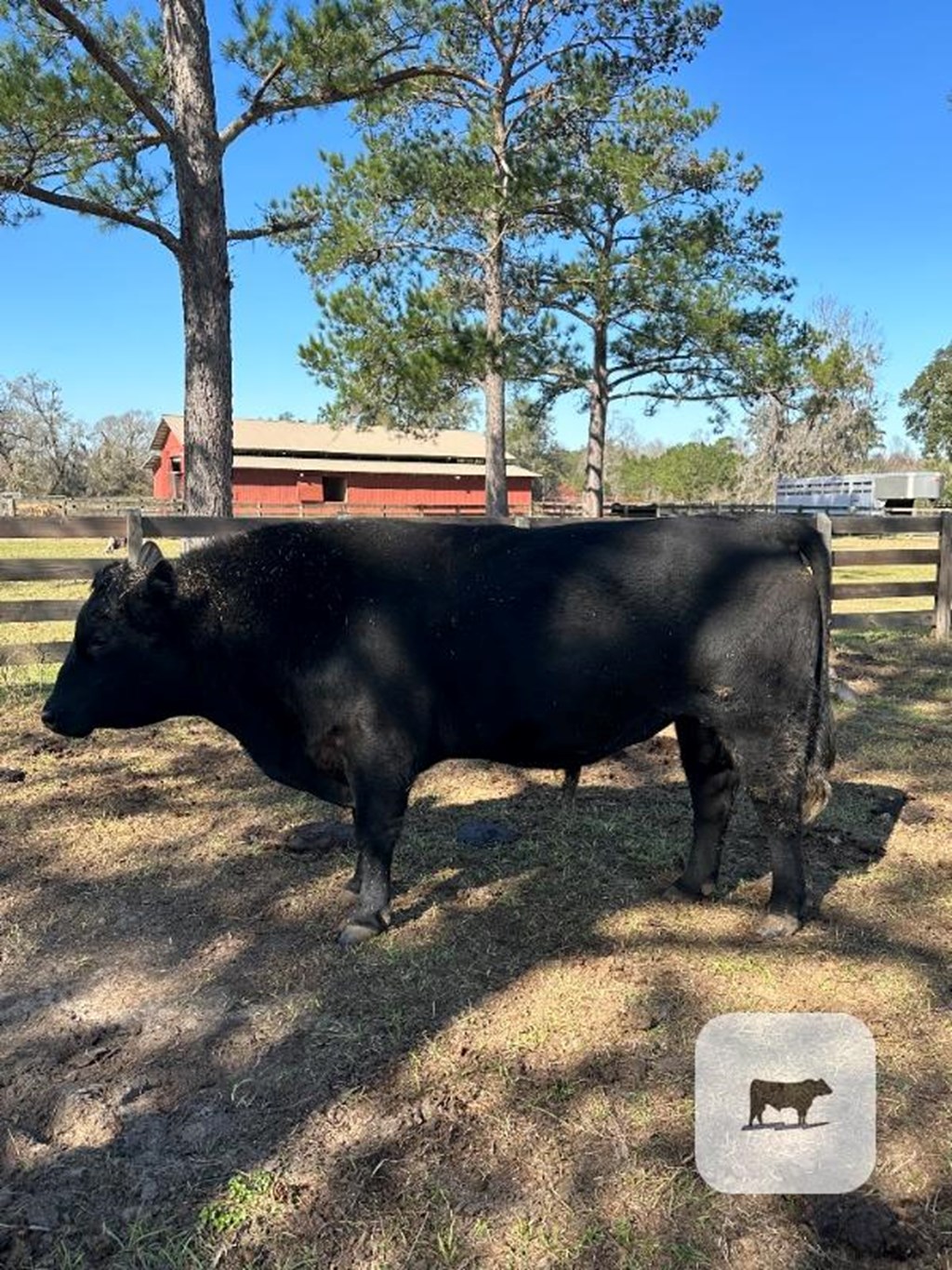 Cattle Range Listing Photo