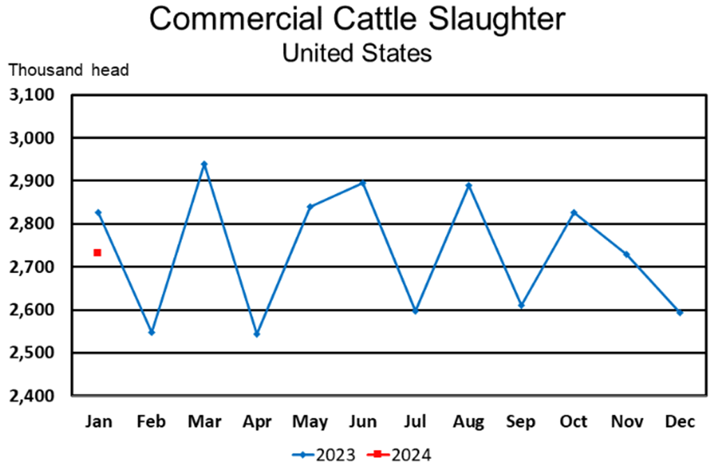 February USDA Livestock Slaughter Report