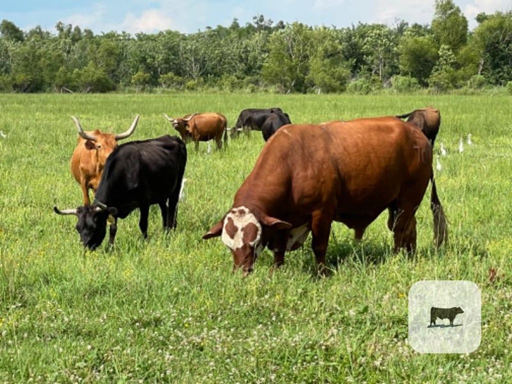 Cattle Range Listing Photo