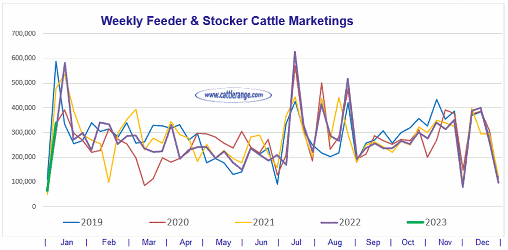 Feeder & Stocker Cattle Marketings for the week ending 1/7/23