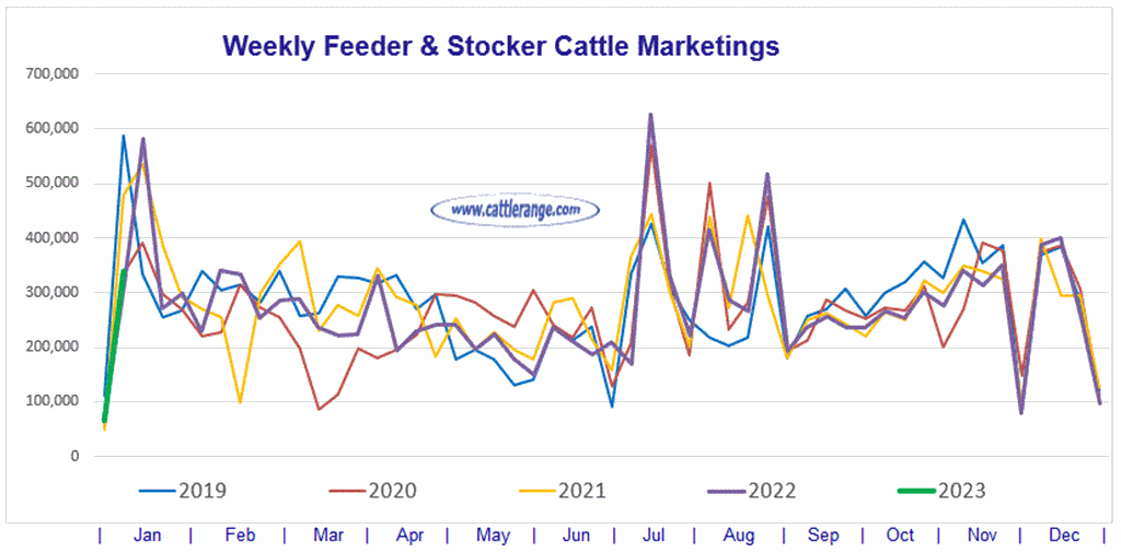 Feeder & Stocker Cattle Marketings for the week ending 1/7/23 Cattle Range