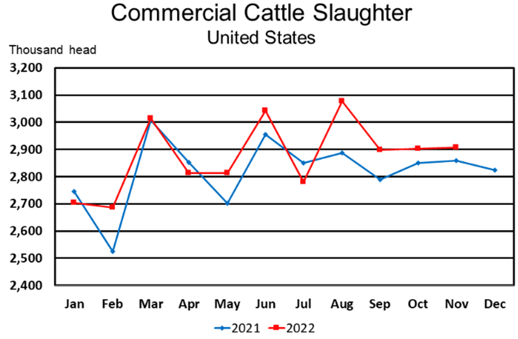 November Red Meat Production Down Slightly; Beef Production Up 2 Percent