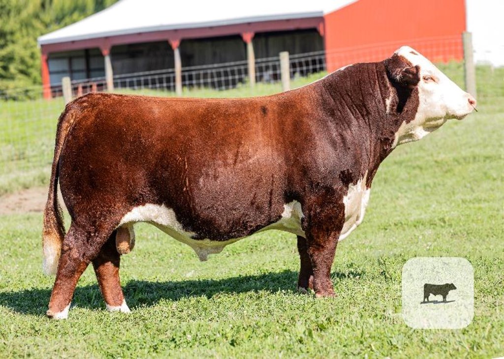 Cattle Range Listing Photo