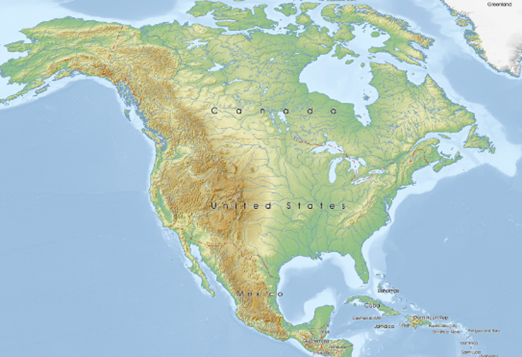 North American Live Cattle Trade