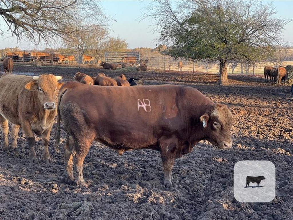 Cattle Range Listing Photo