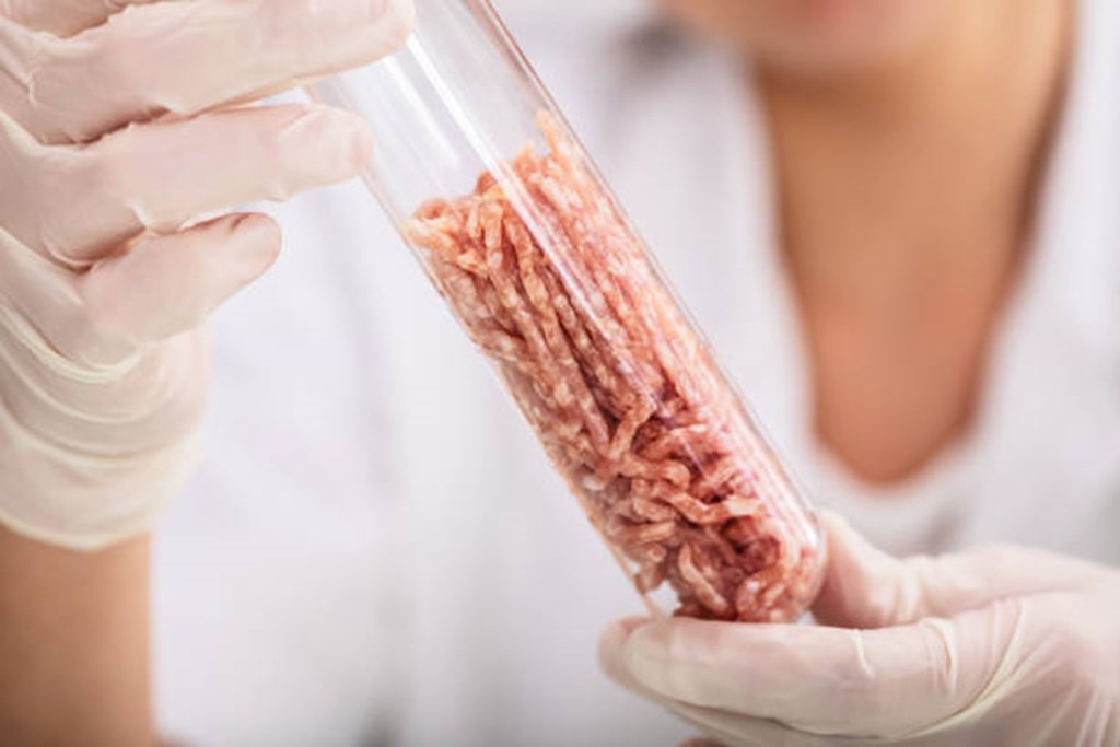Italy's Parliament Approves Ban on Lab-Grown Food