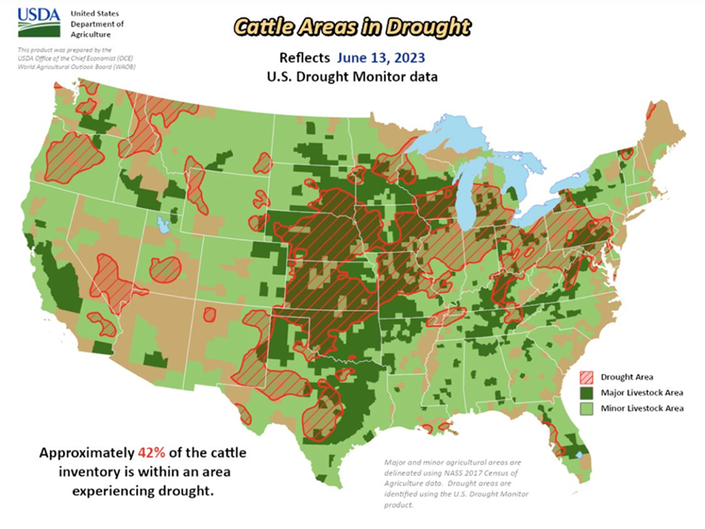 Cattle Areas in Drought
