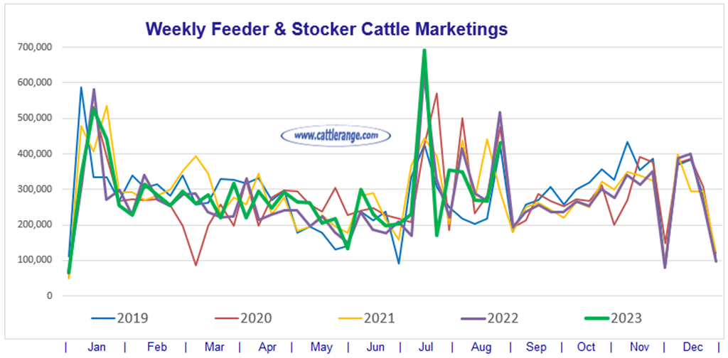 Feeder & Stocker Cattle Marketings for the week ending 8/26/23 Cattle Range