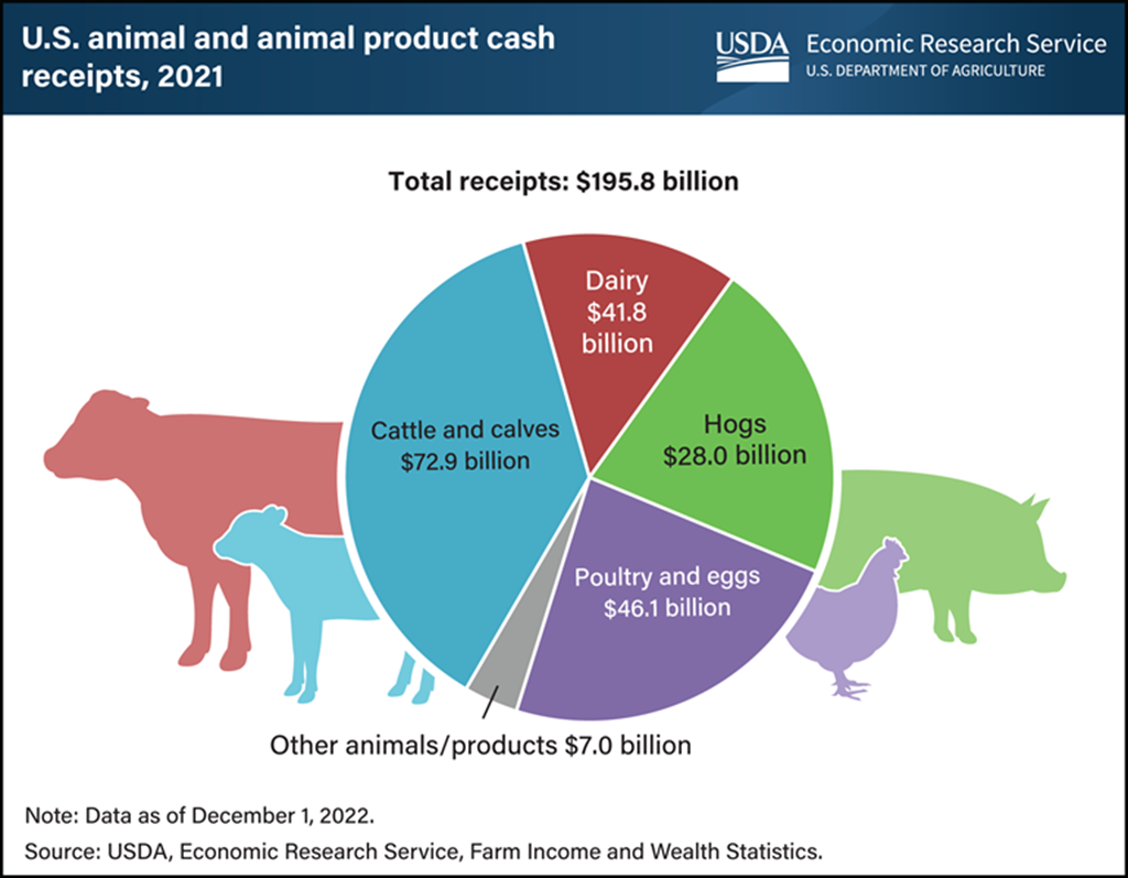 Cattle & Calf Receipts accounted for Largest Portion of Animal Product Receipts