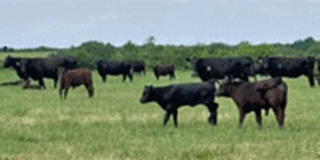 Listings Cattle Range