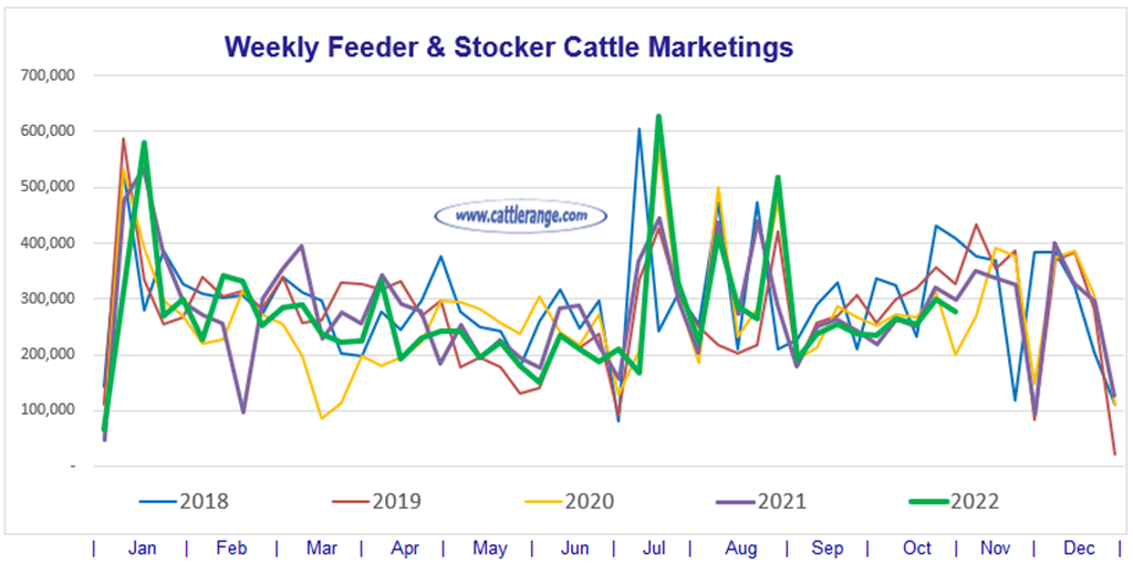 Weekly Feeder & Stocker Cattle Marketings for week ending 10/29/22