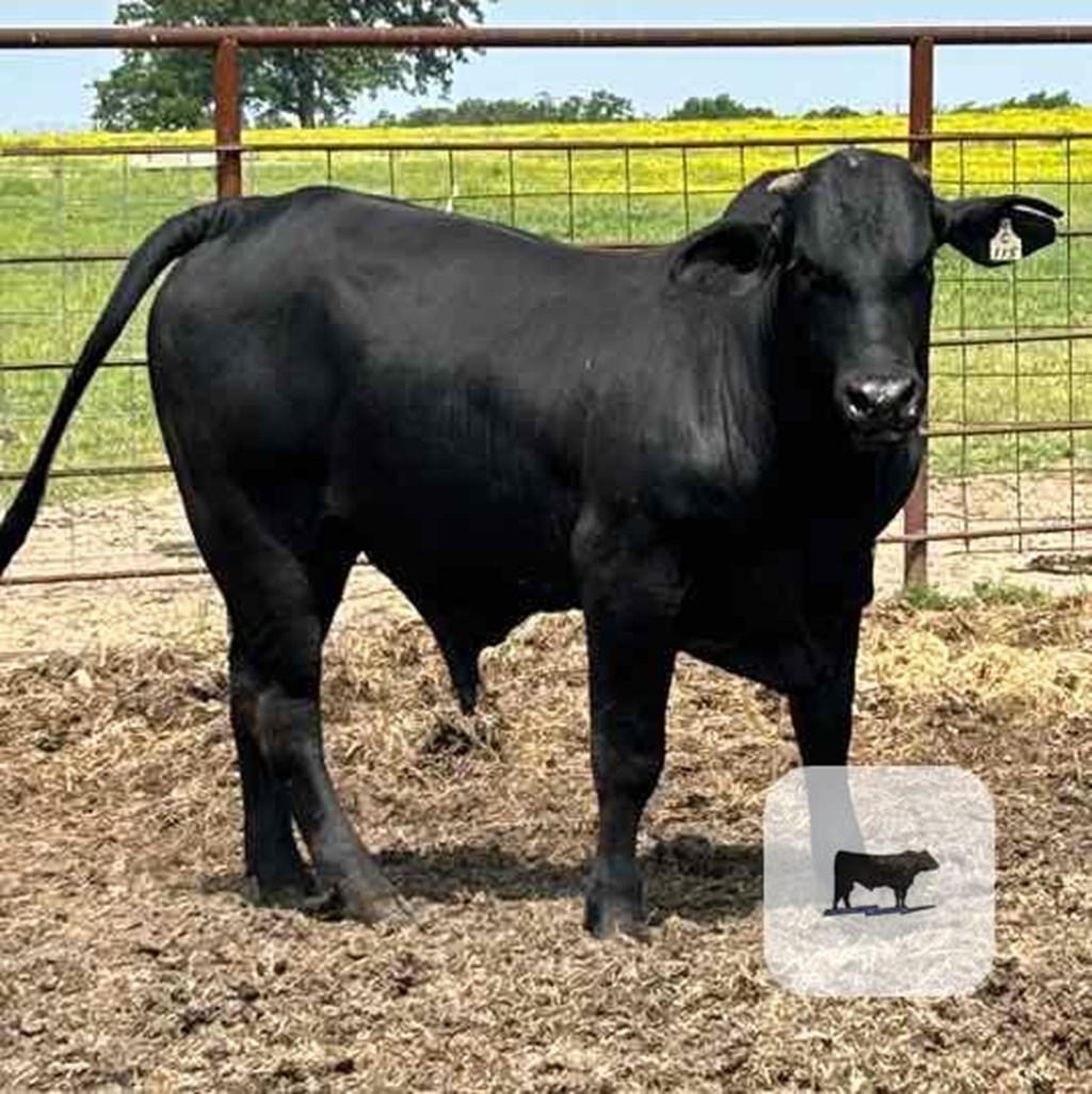 Cattle Range Listing Photo