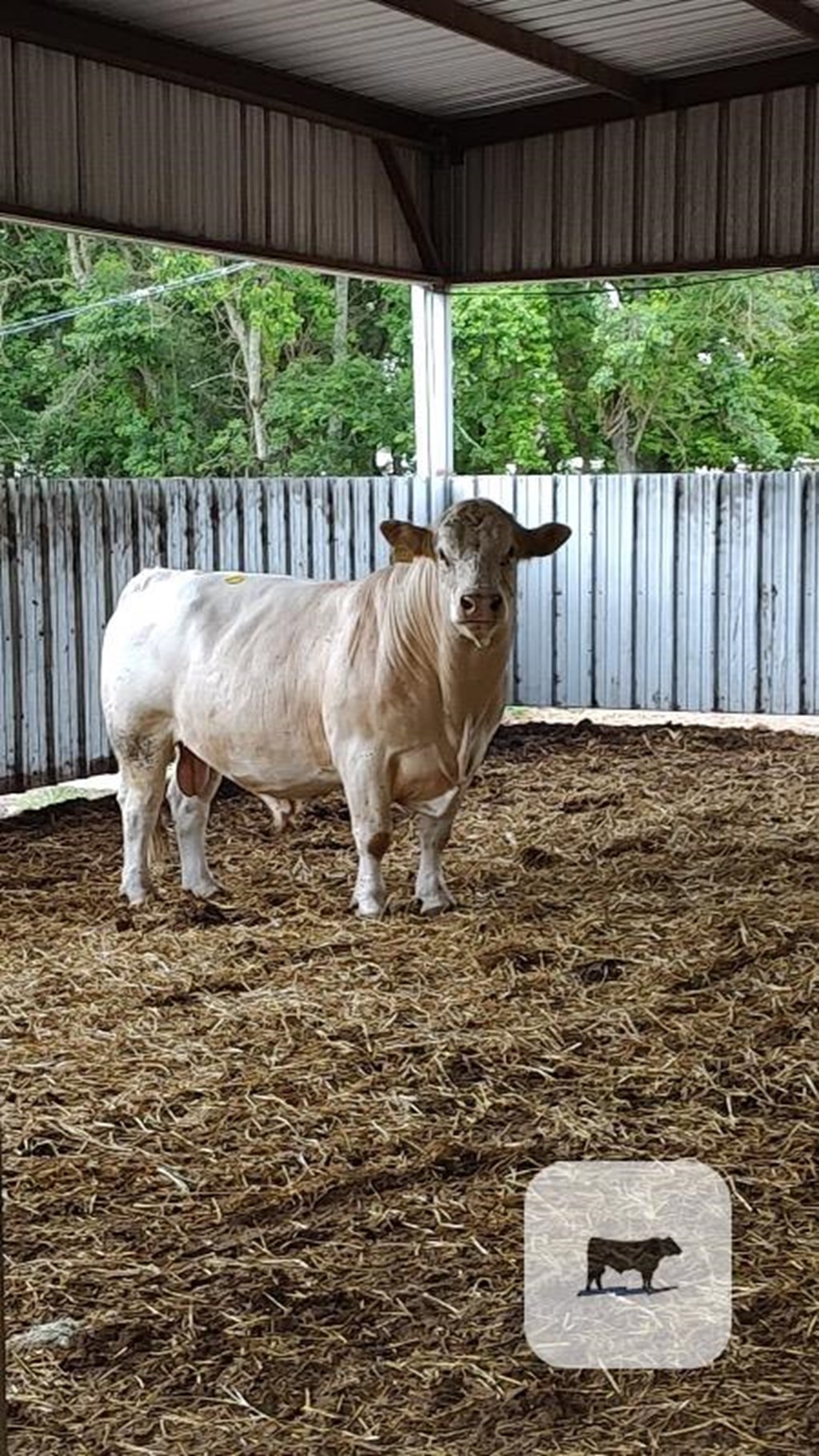 Cattle Range Listing Photo