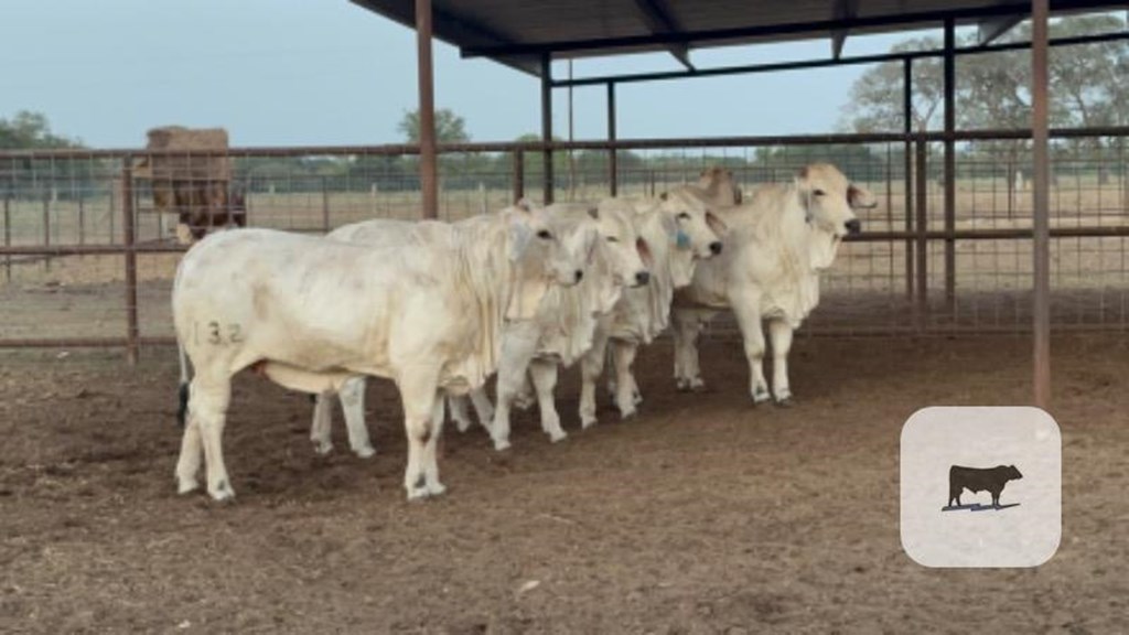 Cattle Range Listing Photo