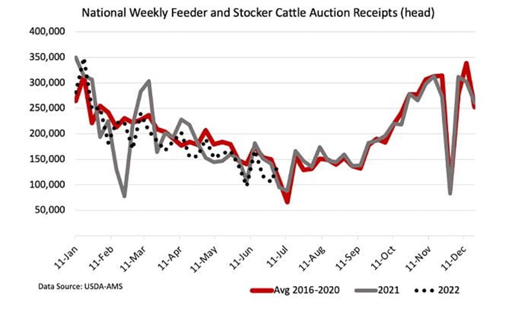 National Auction Receipts lower in 2022
