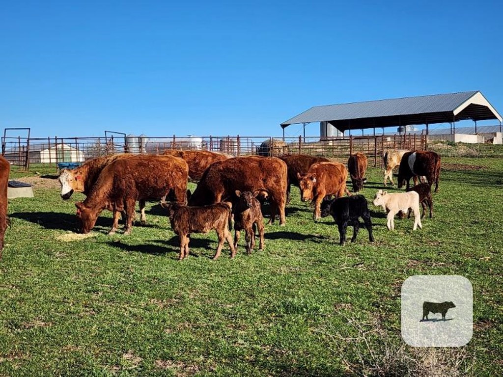 Cattle Range Listing Photo