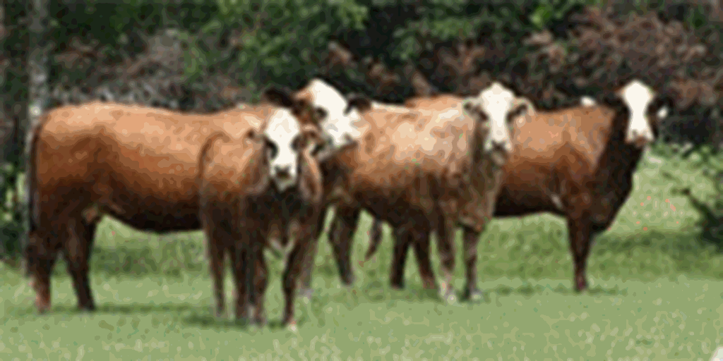Listings Cattle Range
